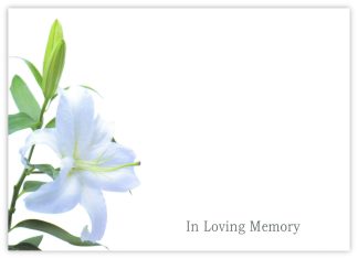 In Loving Memory (White Lily) - 90mm x 125mm Florist Cards