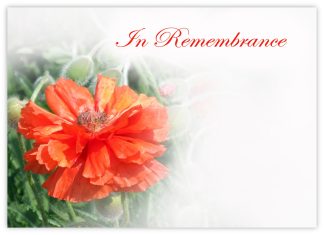 In Remembrance (Red Poppy) - 90mm x 125mm Florist Cards
