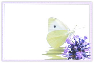 Blank (Butterfly on Lavender) - 90mm x 125mm Florist Cards