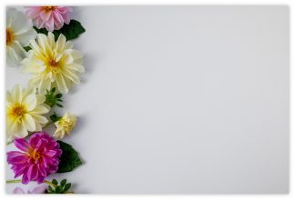 Blank (Garden Dahlia) - 60mm x 90mm Florist Cards