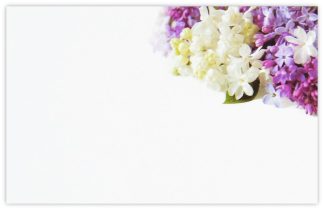 Blank (Hyacinths) - 55mm x 85mm Florist Cards