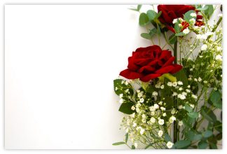 Blank (Red Roses & Widow's Thrill) - 60mm x 90mm Florist Cards
