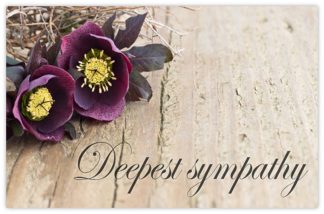 Deepest Sympathy (Lenten Rose) - 55mm x 85mm Florist Cards