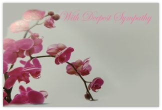 Deepest Sympathy (Pink Orchid) - 90mm x 125mm Florist Cards