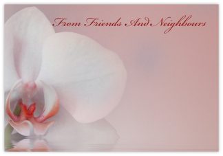 From Friends and Neighbours (Orchid) - 60mm x 90mm Florist Cards