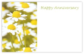 Happy Anniversary (Daisies) - 60mm x 90mm Florist Cards