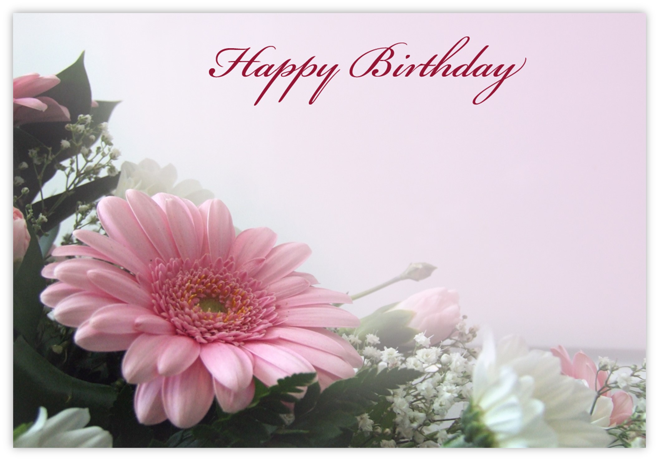 Happy Birthday (Pink Daisy) 60mm x 90mm Florist Cards CelloExpress