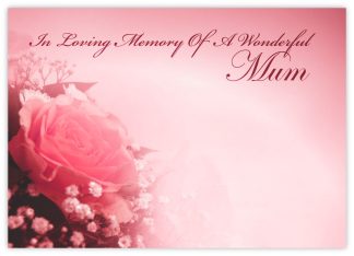 In Loving Memory Mum (Pink Rose) - 60mm x 90mm Florist Cards