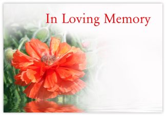 In Loving Memory (Red Poppy) - 60mm x 90mm Florist Cards