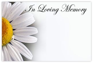 In Loving Memory (White Daisy) - 60mm x 90mm Florist Cards