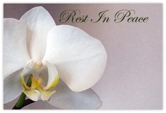 Rest in Peace (White Orchid) - 60mm x 90mm Florist Cards