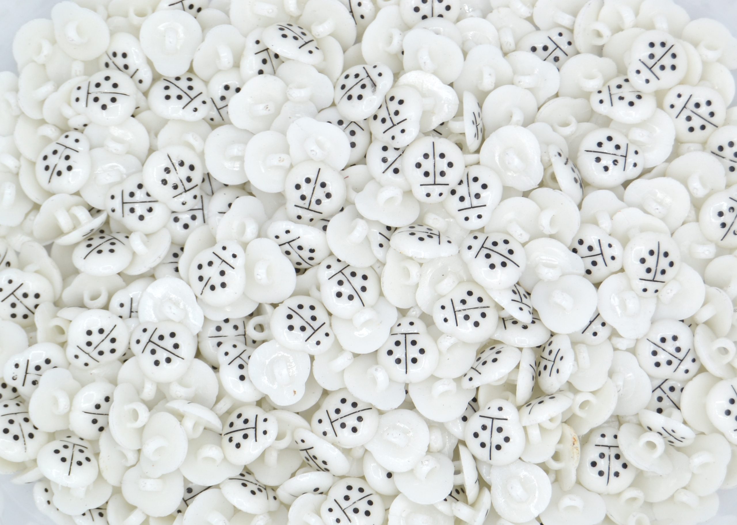 White - Ladybird Shank 14mm - Acrylic Buttons for Costumes & Children's Craft Projects