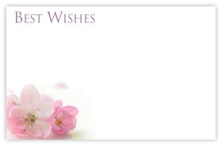 Best Wishes (Pink Prunus) - 60mm x 90mm Florist Cards