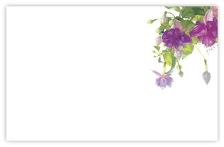 Blank (Fuchsia) - 60mm x 90mm Florist Cards