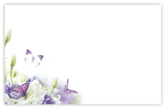 Blank (Purple Butterflies) - 60mm x 90mm Florist Cards