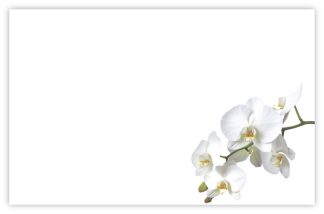Blank (White Orchids) - 60mm x 90mm Florist Cards