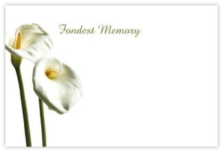 Fondest Memory (Calla Lily) - 60mm x 90mm OASIS® Florist Cards