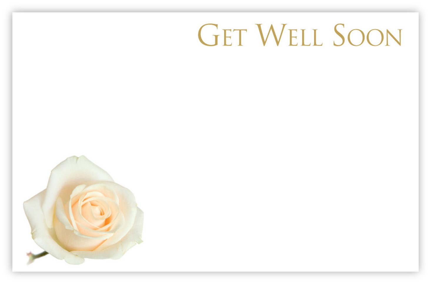 Get Well Soon (White Rose) 60mm x 90mm Florist Cards CelloExpress