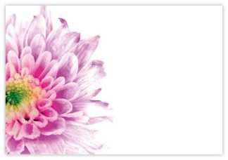 Blank (Lilac Chrysanthemum) - 60mm x 90mm OASIS® Florist Cards