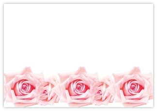 Blank (Pink Roses) - 60mm x 90mm OASIS® Florist Cards