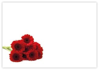 Blank (Red Gerberas) - 60mm x 90mm OASIS® Florist Cards