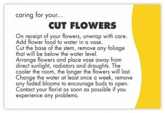 Caring for your Cut Flowers v22 - 60mm x 90mm OASIS® Florist Cards