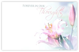 Forever in Our Thoughts (Pink Lily) - 60mm x 90mm OASIS® Florist Cards
