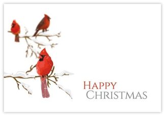 Happy Christmas (Red Birds) - 60mm x 90mm OASIS® Florist Cards