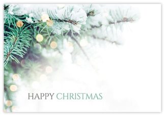 Happy Christmas (Snowy Branches) - 60mm x 90mm OASIS® Florist Cards