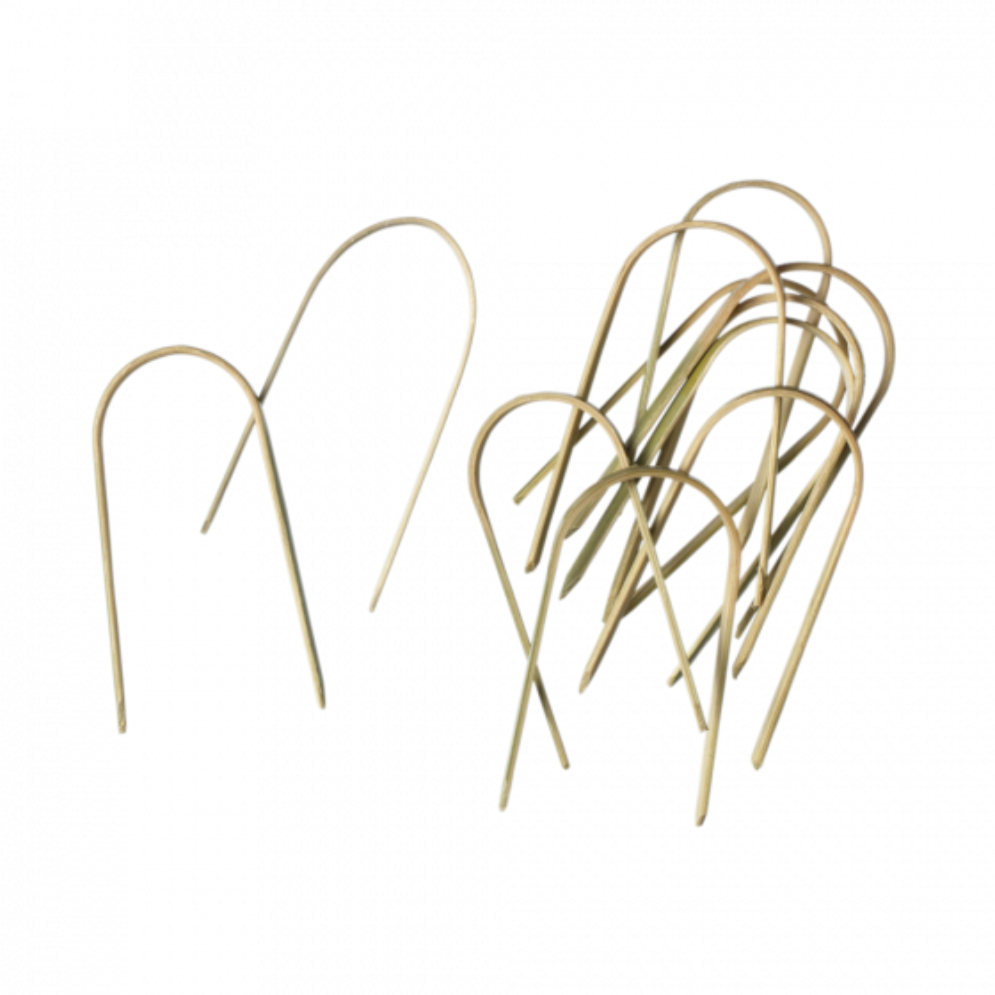 Bamboo Mossing Pegs 40mm OASIS® Florist Pins CelloExpress