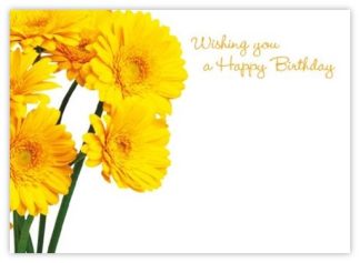 Wishing you a Happy Birthday (Yellow Gerberas) - 60mm x 90mm OASIS® Florist Cards