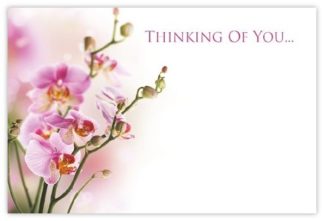 Thinking of You (Pink Orchid) - 60mm x 90mm OASIS® Florist Cards
