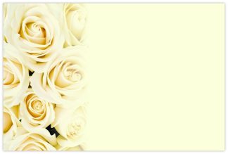 Blank (Cream Roses) - 60mm x 90mm OASIS® Florist Cards