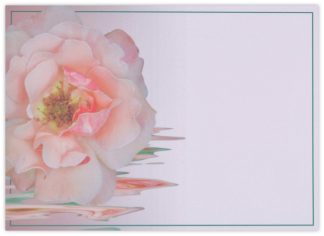 Blank (China Rose) - 90mm x 125mm Florist Cards