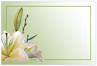 Blank (Lily Green Background) - 60mm x 90mm Florist Cards