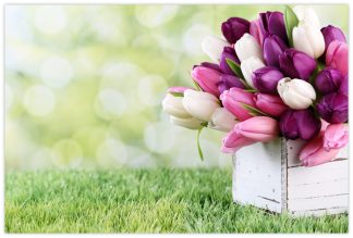 Blank (Mixed Tulips) - 55mm x 85mm Florist Cards