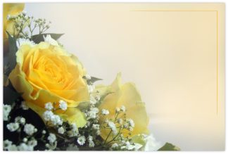 Blank (Yellow Rose) - 60mm x 90mm Florist Cards