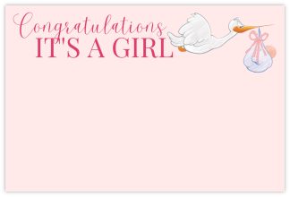Congratulations Girl (Stork) - 60mm x 90mm Florist Cards