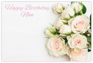 Happy Birthday Nan (Roses) - 60mm x 90mm Florist Cards