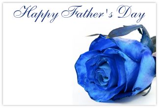 Happy Father's Day (Blue Rose) - 60mm x 90mm Florist Cards