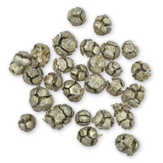 Cone Cupressus Gold - Florist Accessories