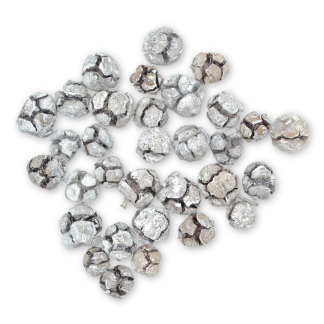 Cone Cupressus Snowy - Florist Accessories