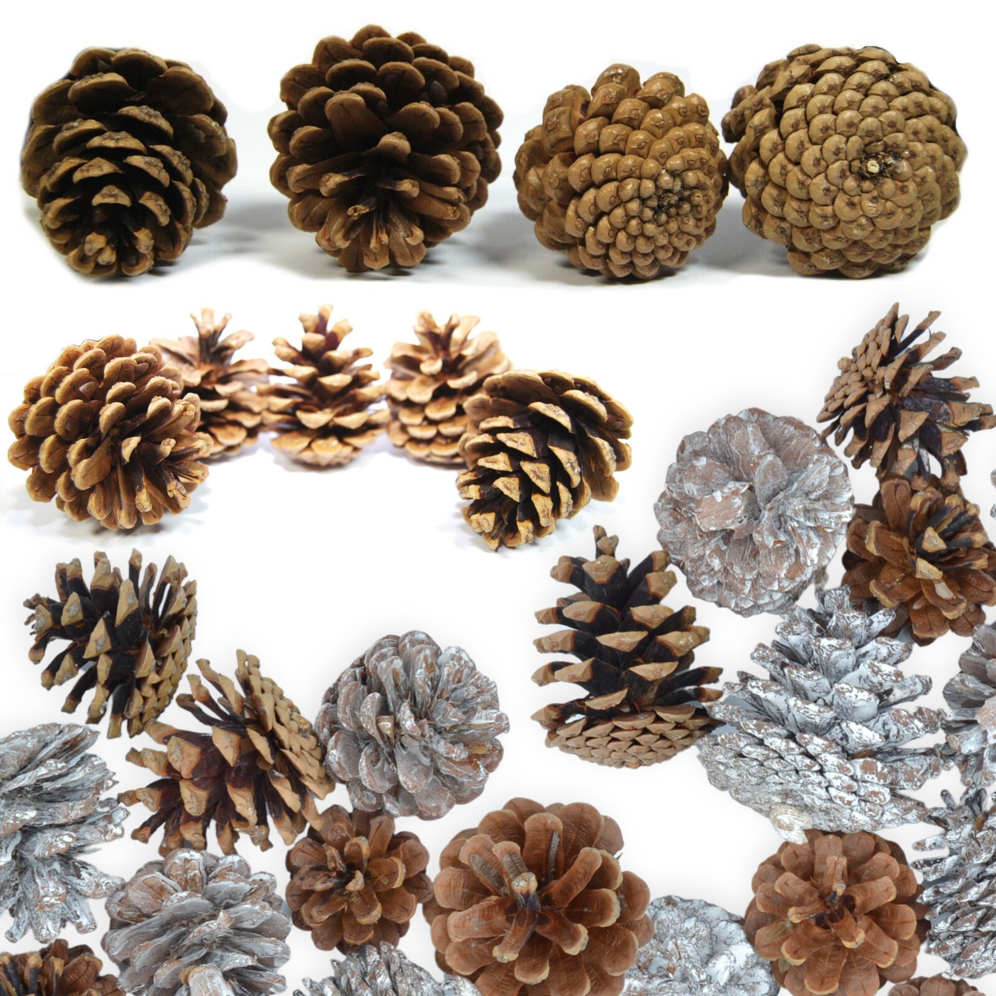 Pine Cones Snowy Mix - Florist Accessories - Image 3