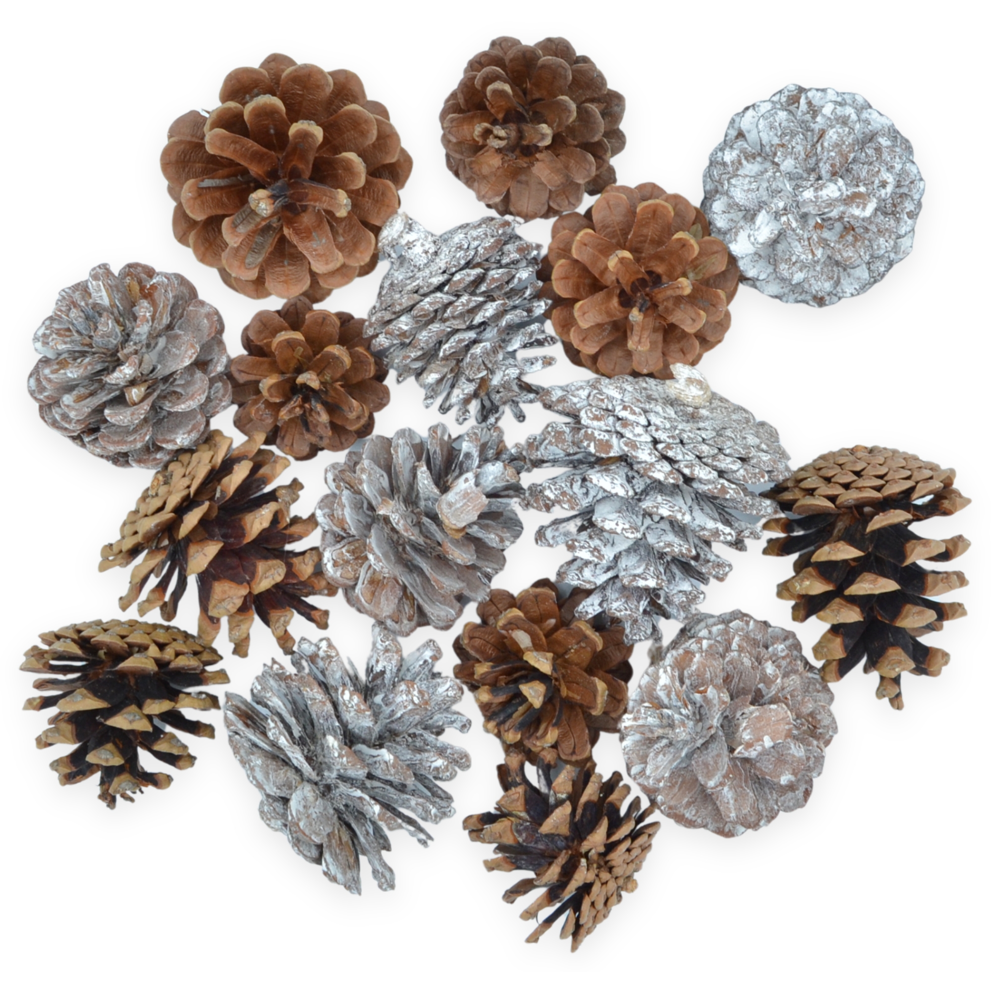Pine Cones Snowy Mix - Florist Accessories
