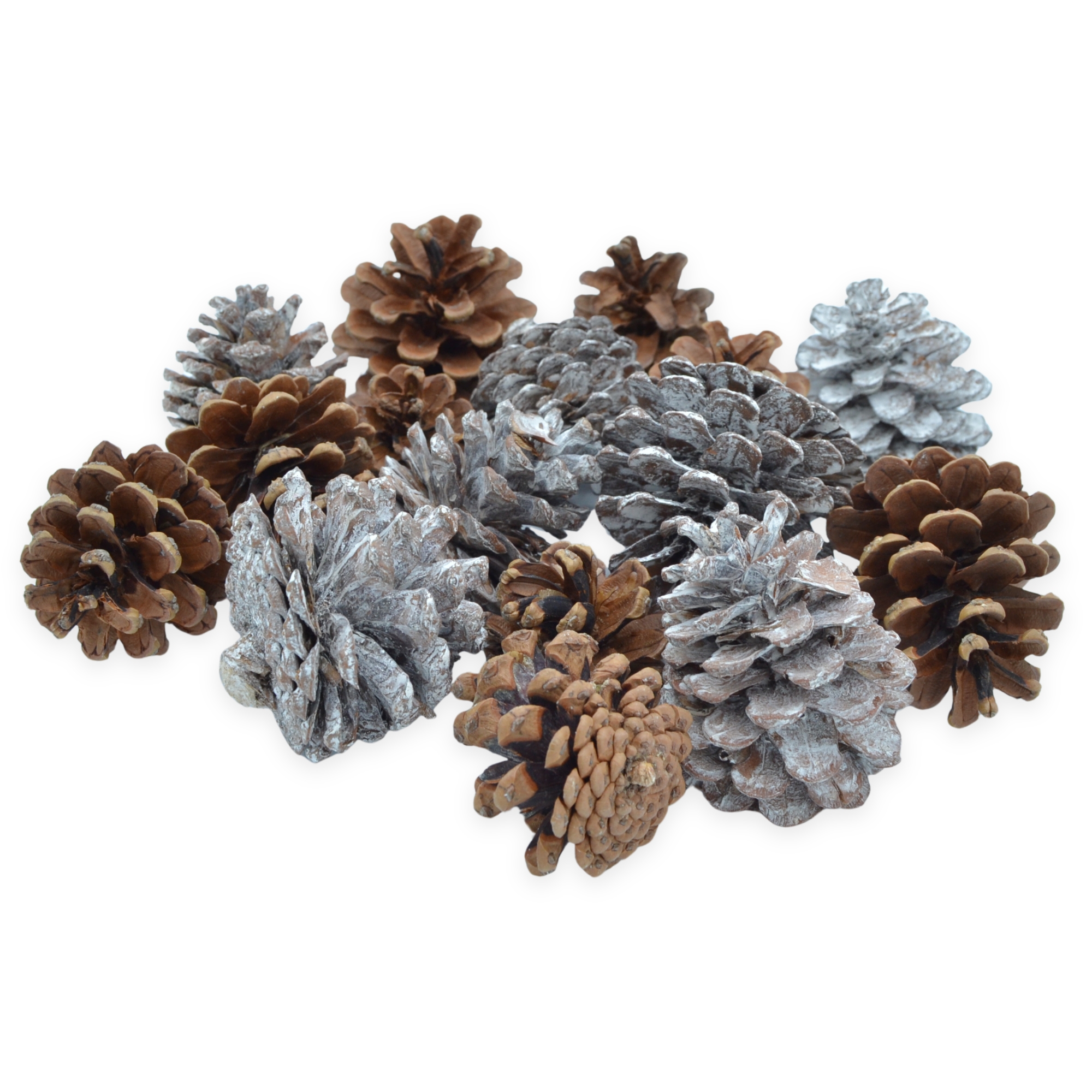 Pine Cones Snowy Mix - Florist Accessories - Image 2
