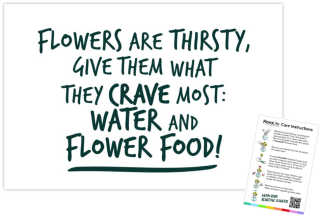 "Crave Most" Care Instructions - 60mm x 90mm OASIS® Florist Cards