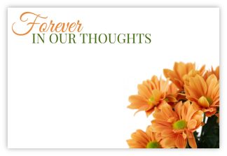 Forever in our Thoughts (Orange Daisies) - 60mm x 90mm Florist Cards