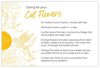 Caring for your Cut Flowers v24 - 60mm x 90mm OASIS® Florist Cards