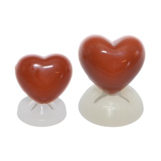 Dark Brown Heart Noses with Plastic Backs