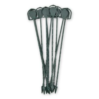 Green Card Holders - Florist Cardettes